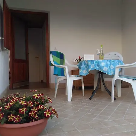 Bela * Novigrad Istria